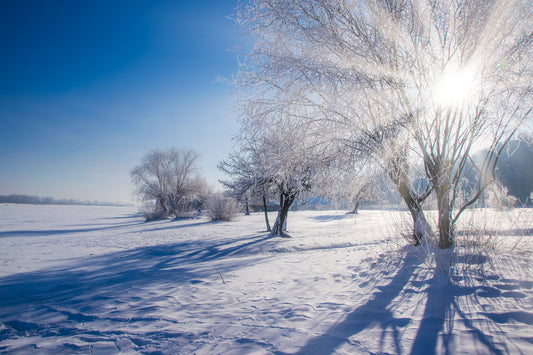 Hiver et acariens